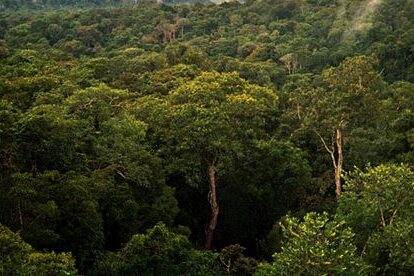 Deforestation in Amazon