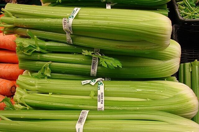 growing celery to fight Climate Change