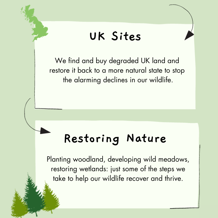 restoring nature at UK sites